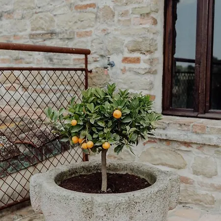 Agriturismo Qui Voglio Monte Roberto Exterior photo