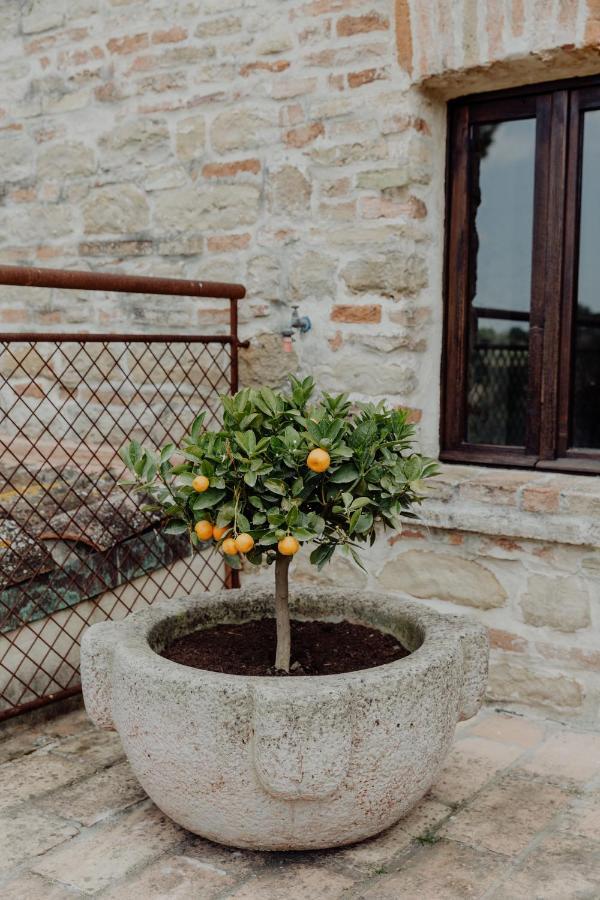 Qui Voglio Country house *